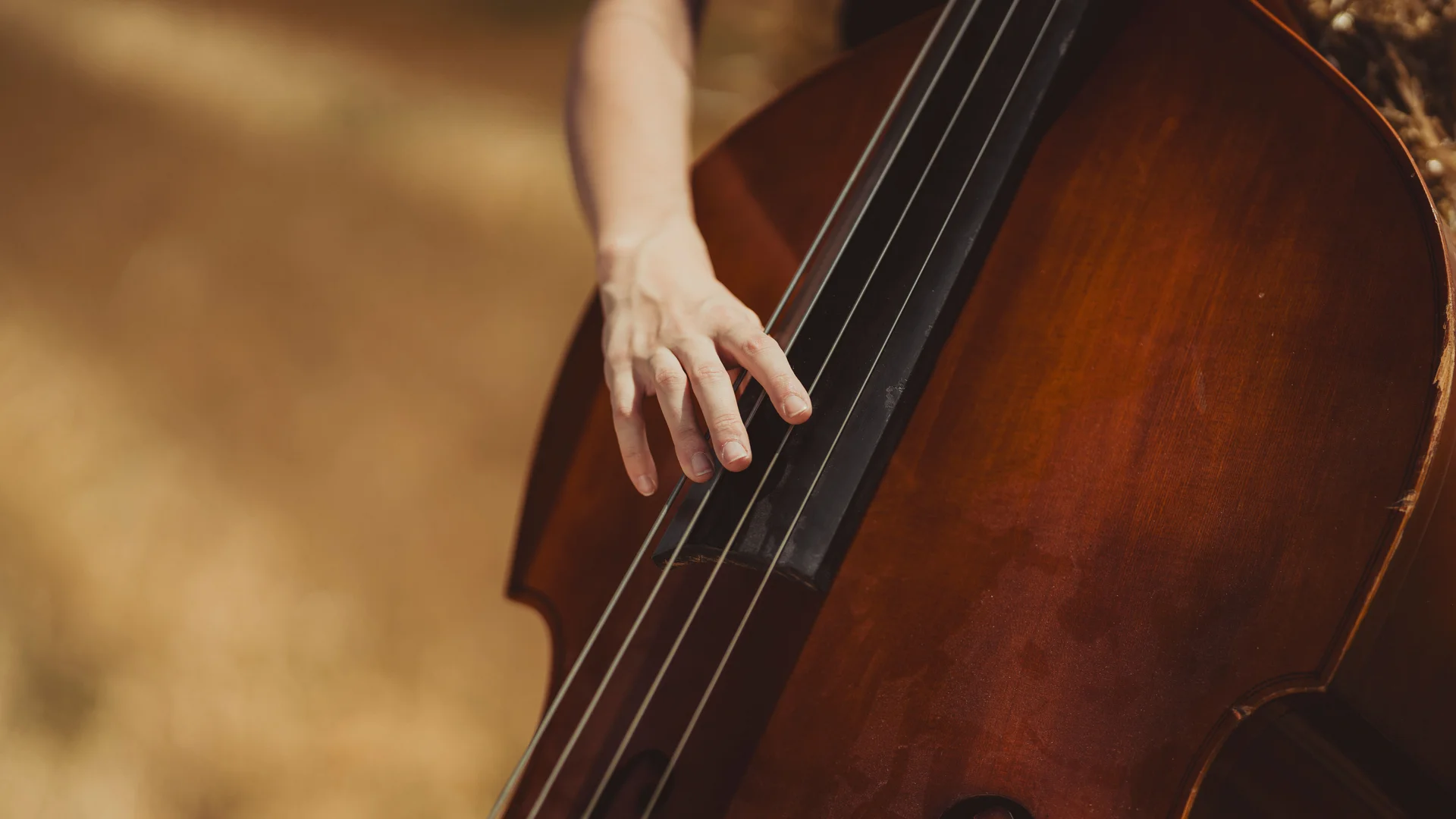 Detalle de la mano sobre las cuerdas del contrabajo