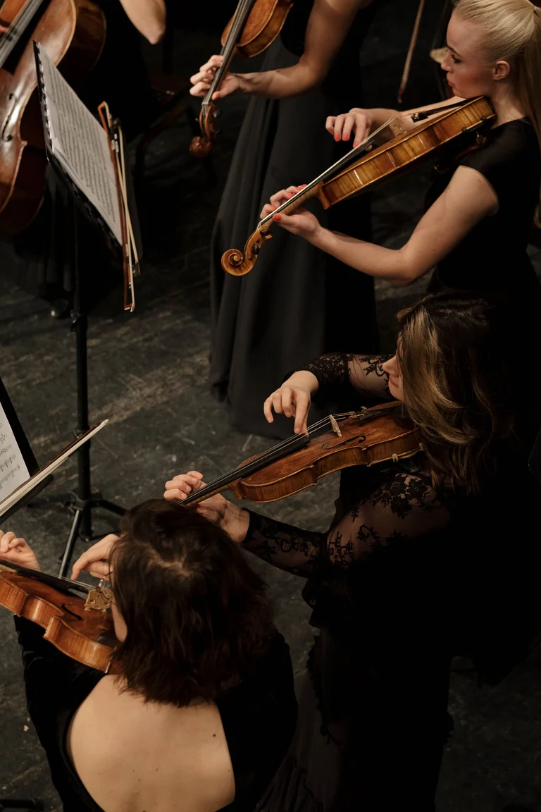 Violín en una interpretación en directo