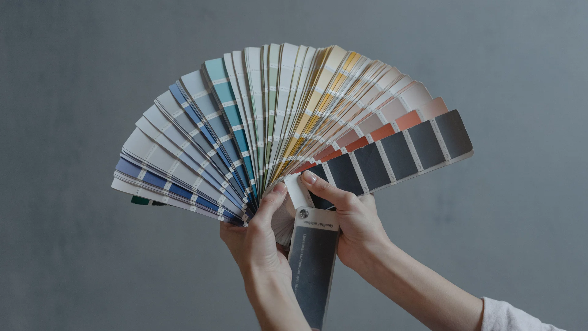 Paleta de color de una identidad visual